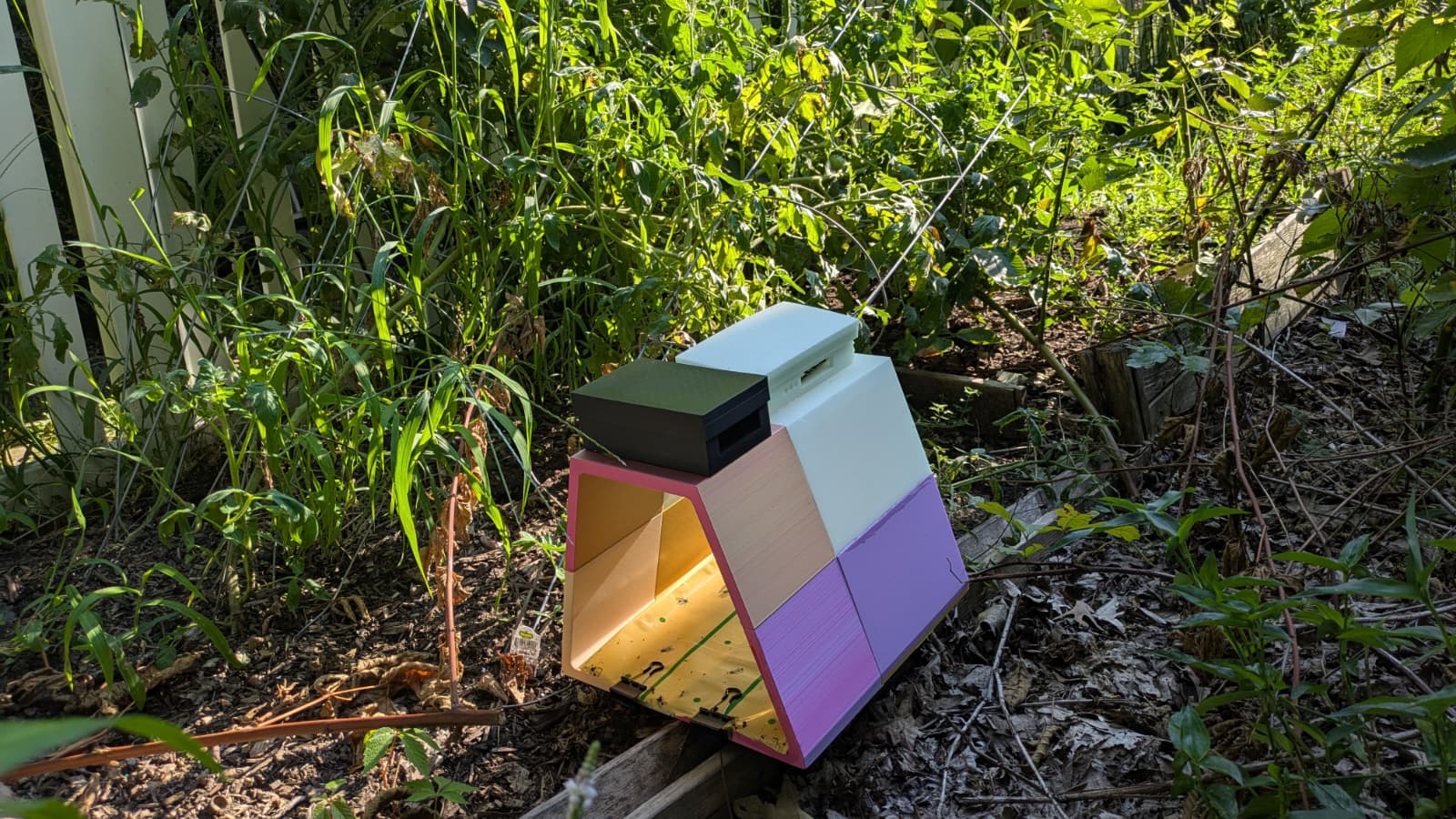 FarmVates solar-powered unit in tomato garden.